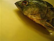 Untitled, acrylic and oil on canvas, 140x190cm, 2008